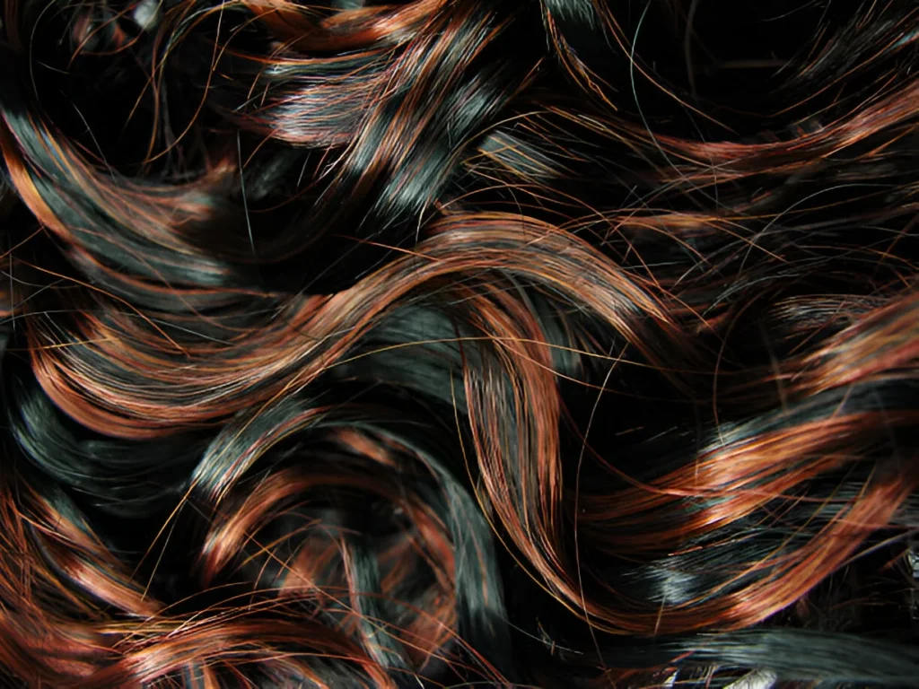 A close-up of black hair with highlights, featuring auburn streaks that create a warm, multi-tonal contrast against the dark base, styled in loose waves.