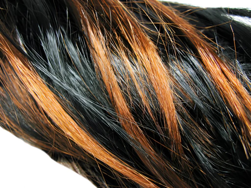 A close-up of black hair with highlights, featuring caramel streaks that add warmth and contrast to the dark base, creating a rich, multi-tonal effect.