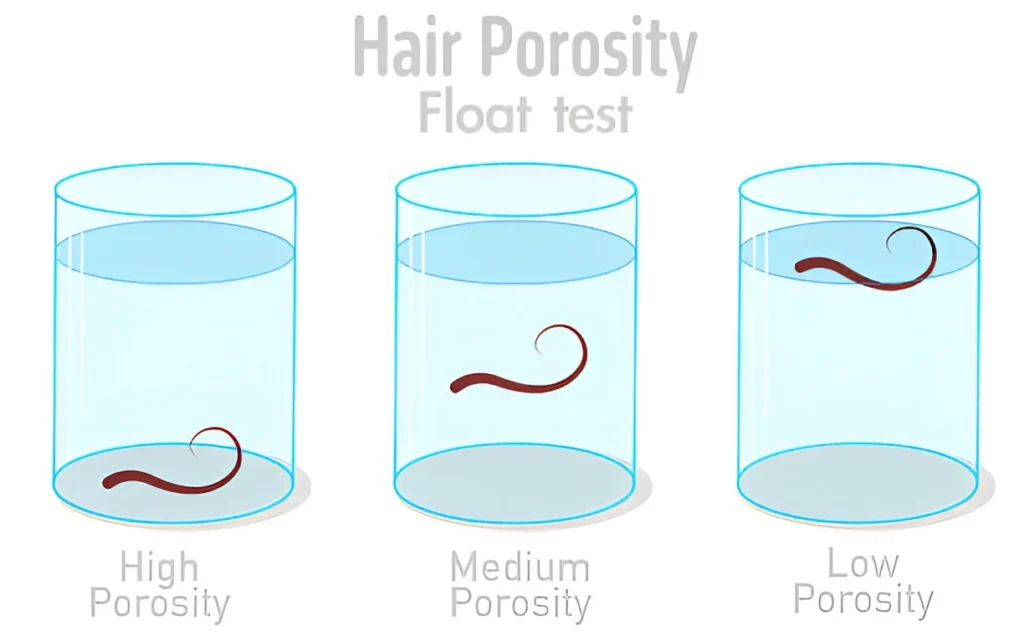 An illustration of a hair porosity float test with three glasses of water, each containing a strand of hair. The left glass shows a hair floating on the surface (High Porosity), the middle glass shows a hair suspended in the middle (Medium Porosity), and the right glass shows a hair sunk to the bottom (Low Porosity), labeled to demonstrate hair porosity levels.
