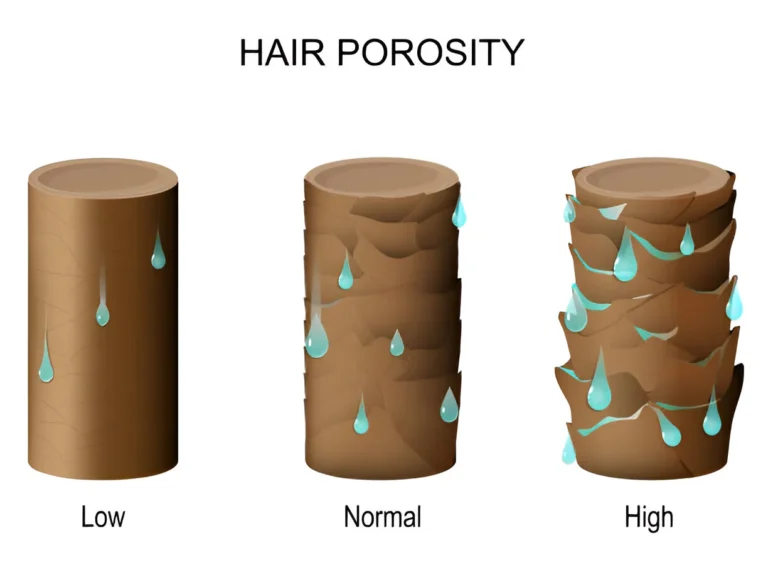 An illustration of a hair porosity float test with three glasses of water, each containing a strand of hair. The left glass shows a hair floating on the surface (High Porosity), the middle glass shows a hair suspended in the middle (Medium Porosity), and the right glass shows a hair sunk to the bottom (Low Porosity), demonstrating how porosity affects absorbency, moisture retention, and water penetration to determin which low porosity hair products to use.